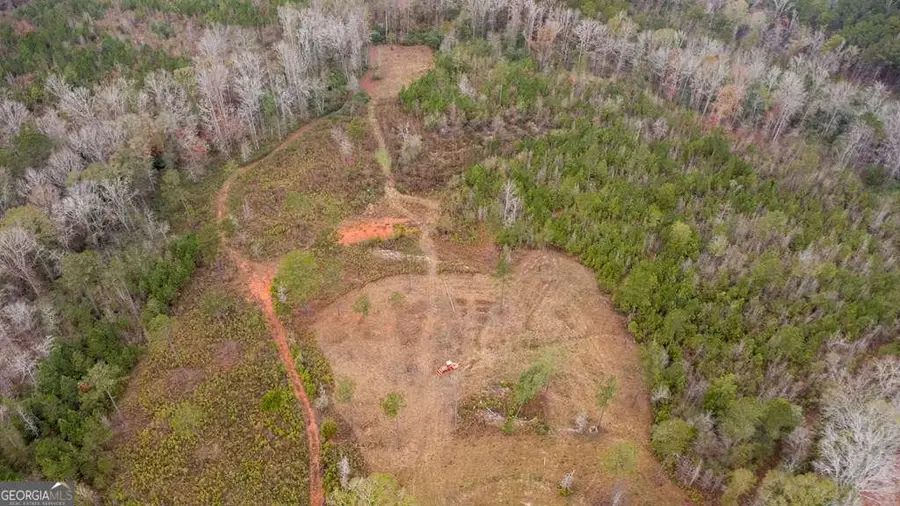 13145 Ga Highway 0315, Cataula, GA 31804 - Image #2