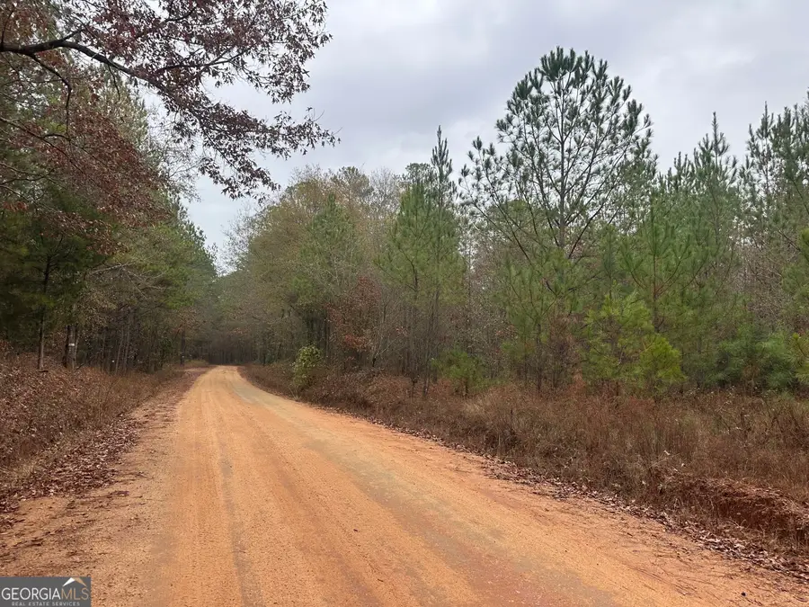 1049 Kelly Road, Talbotton, GA 31827 - Image #3