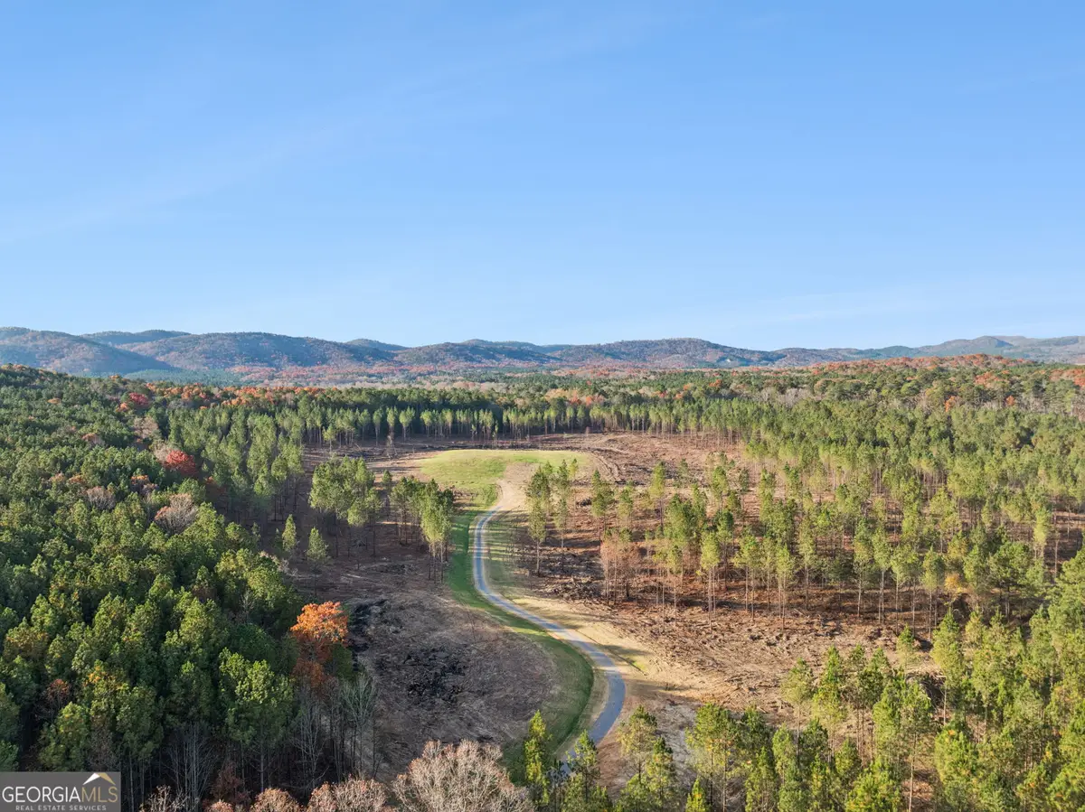 0 Ben Mosley Circle, Summerville, GA 30747 - Image #1