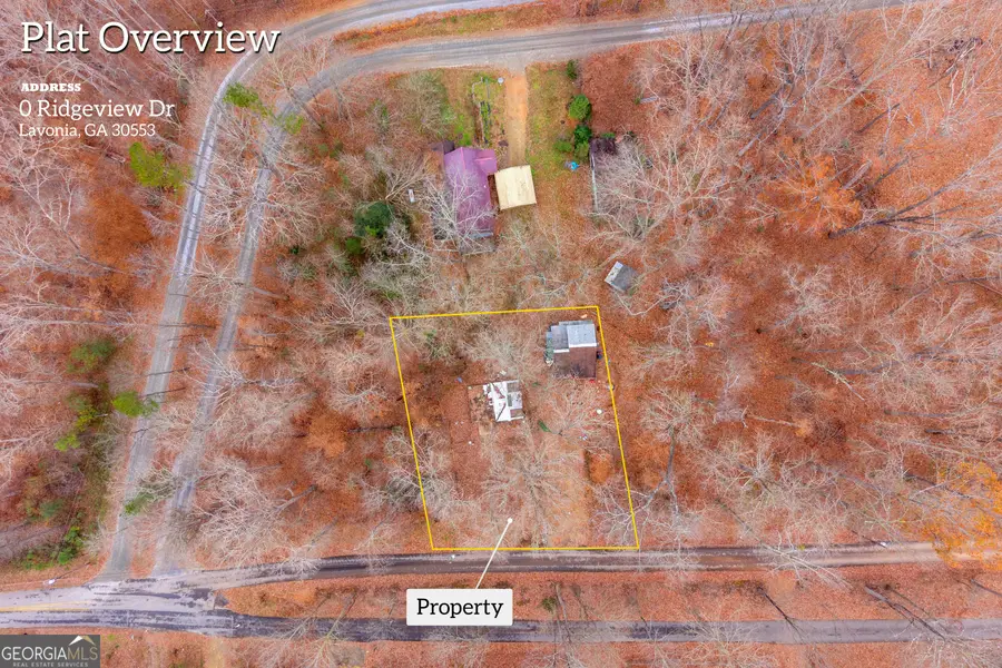 317 Ridgeview Drive, Lavonia, GA 30553 - Image #3