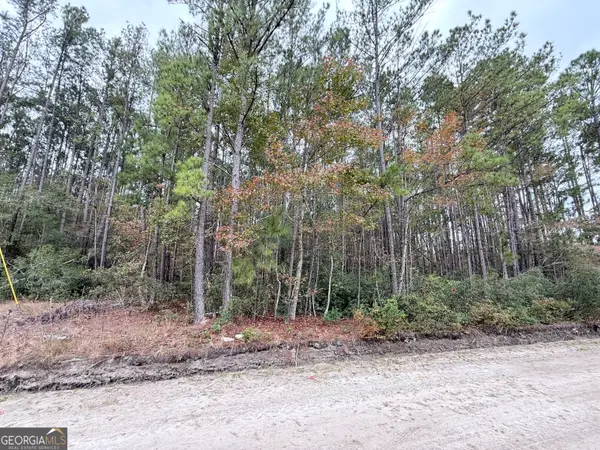 0 Raymona Drive, Brooklet, GA 30415