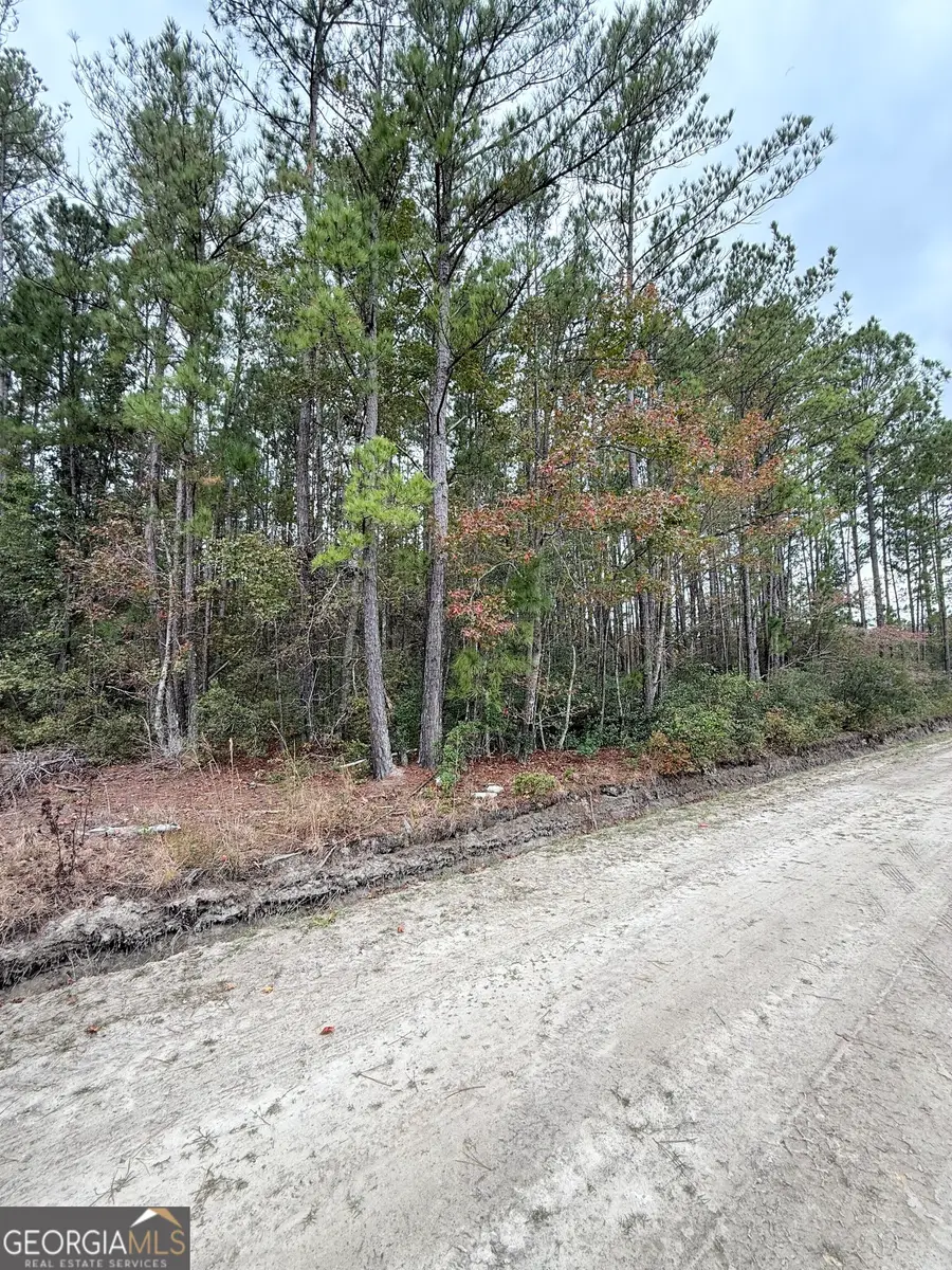 0 Raymona Drive, Brooklet, GA 30415 - Image #2