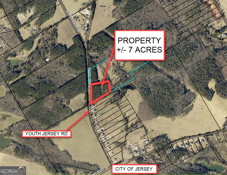 7 ACRES Youth Jersey Road, Covington, GA 30014 - #3