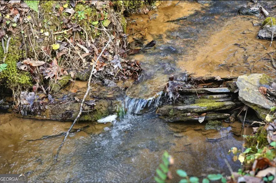 677 Catawba Circle, Ellijay, GA 30540 - Image #2