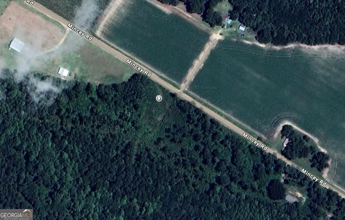 0 Mincey Rd, Brooklet, GA 30415 - Image #1