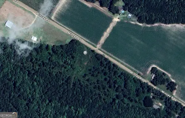 0 Mincey Rd, Brooklet, GA 30415