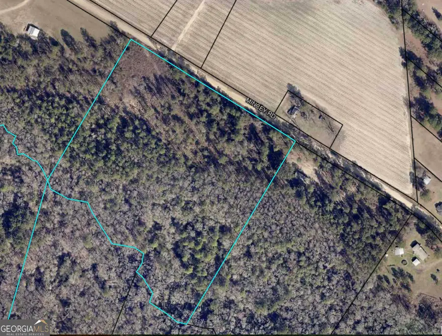 0 Mincey Rd, Brooklet, GA 30415 - Image #2