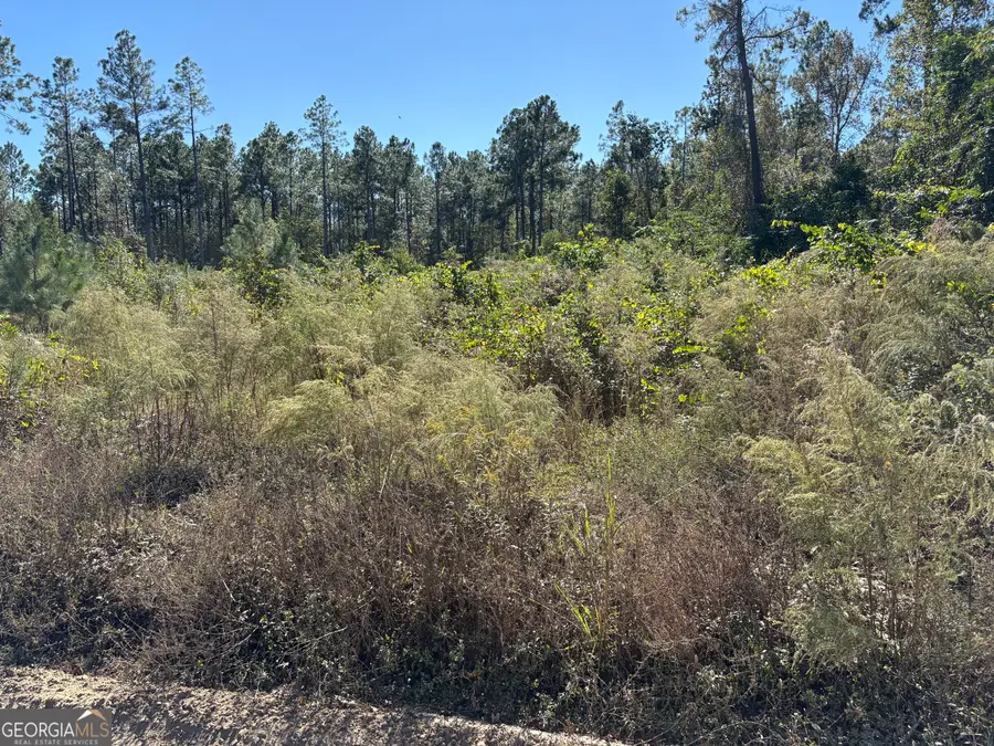0 Mincey Rd, Brooklet, GA 30415 - Image #3