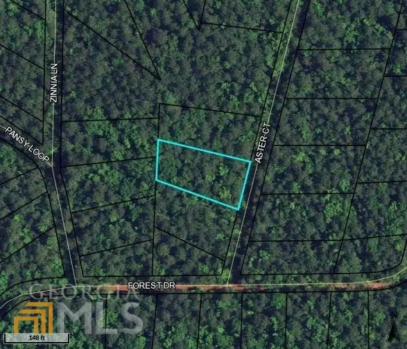 LOT 21 Aster Court, Waverly Hall, GA 31831 - Image #2