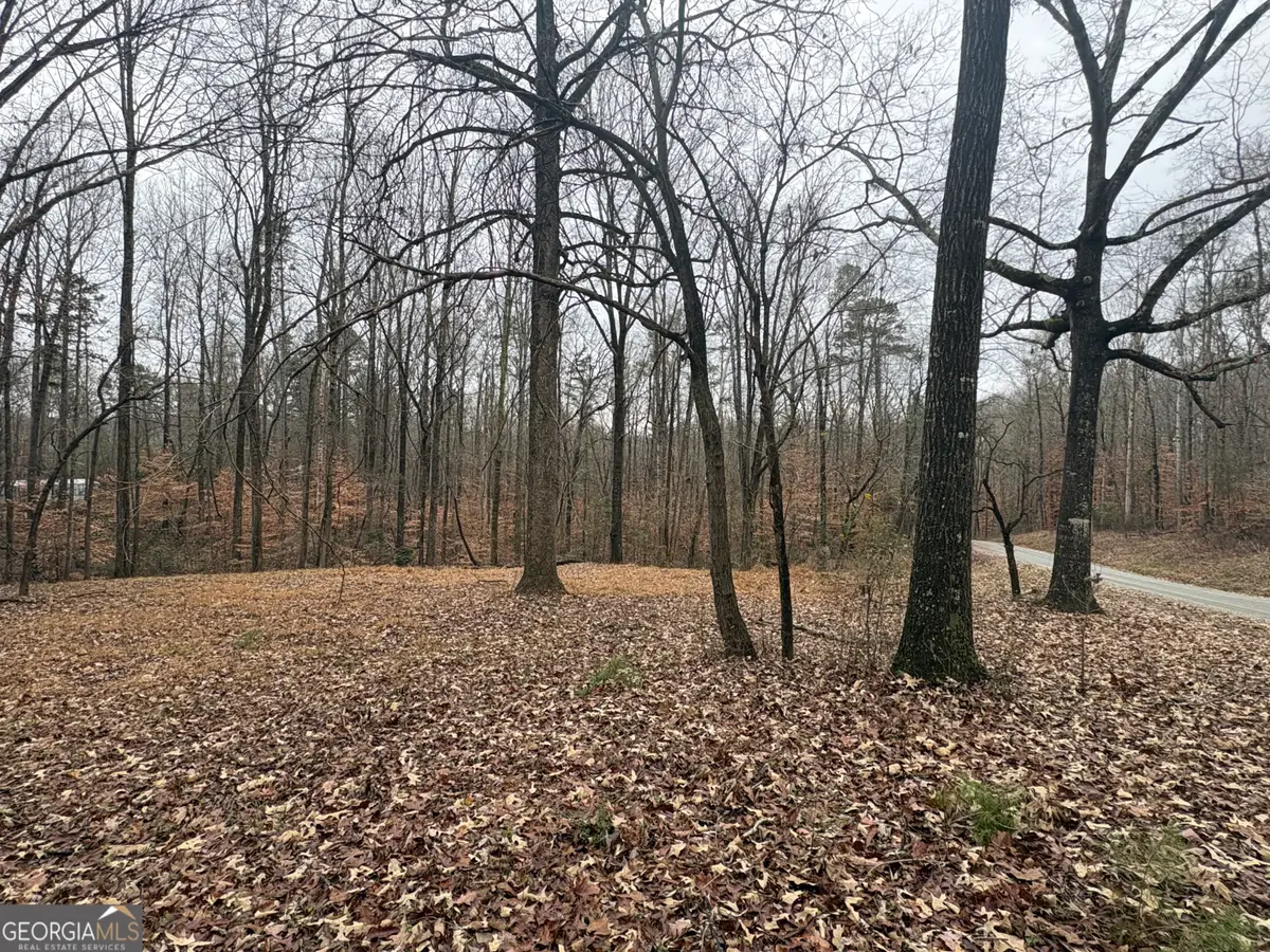 910 Lewis Drive, Lavonia, GA 30553 - Image #1