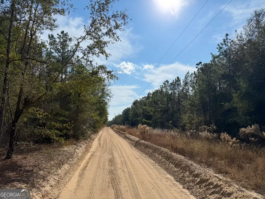 0 Bells Ferry Road, Lumber City, GA 31549 - Image #3