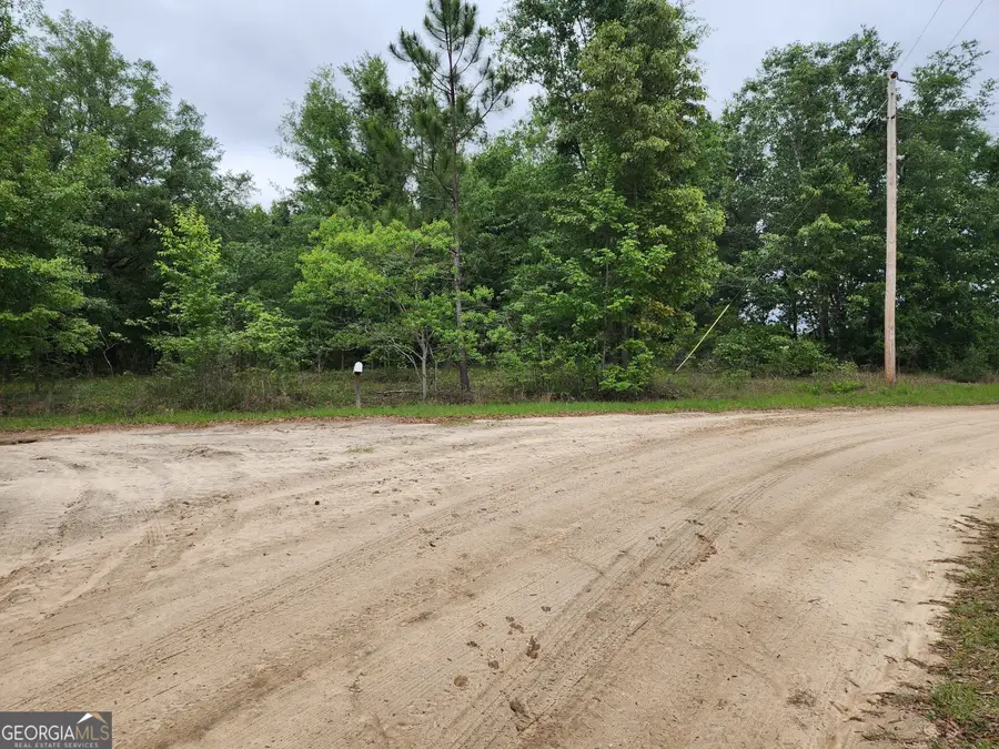 0 Southwest Drive, Donalsonville, GA 39845 - #3