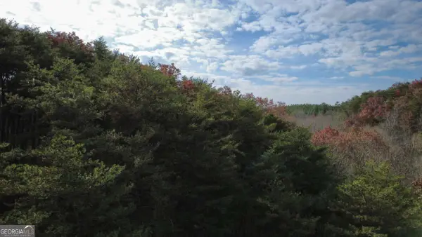 TRACT 30 Deerfield Estates, Fairmount, GA 30139