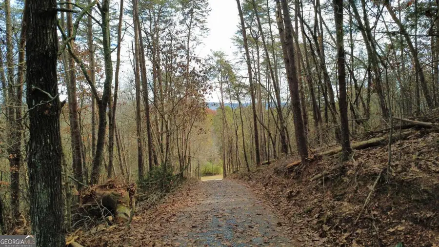 TRACT 30 Deerfield Estates, Fairmount, GA 30139 - #3