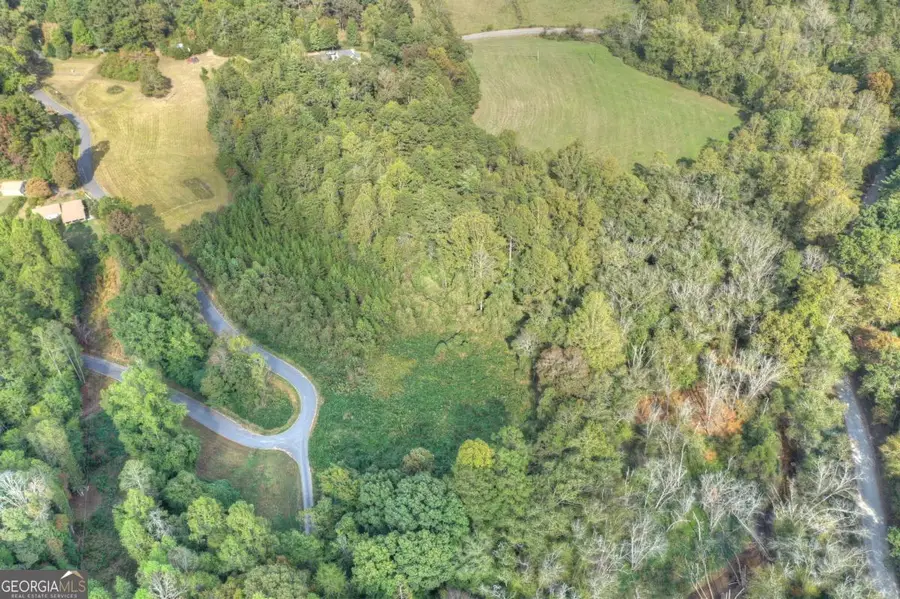 6.4 ACRE Collins Road, Morganton, GA 30560 - Image #3