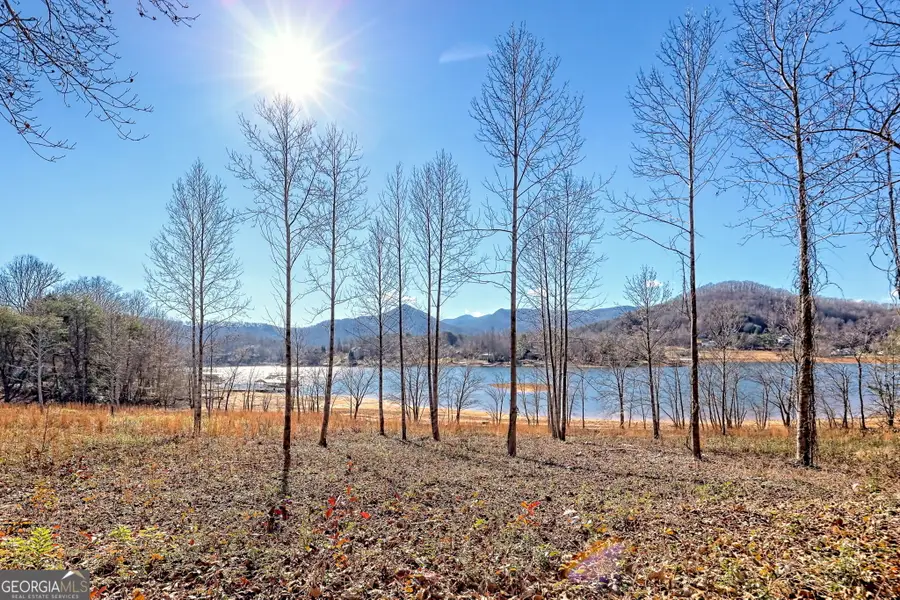 314 Lakeside Drive, Hiawassee, GA 30546 - Image #3