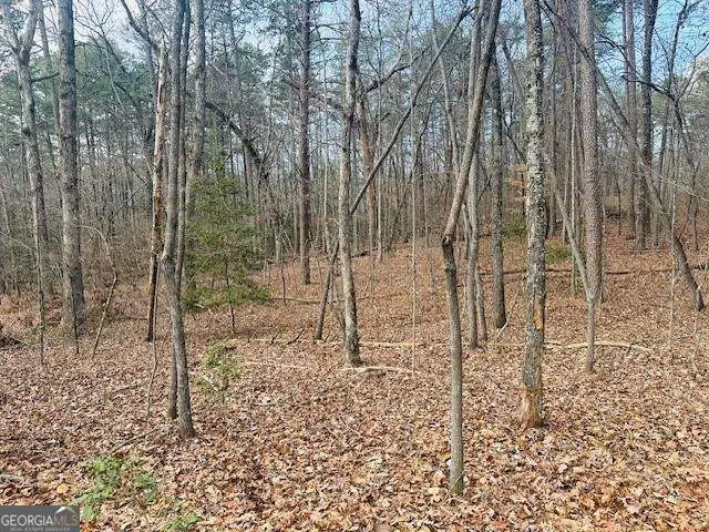 LOT 28 Fern Park Drive, Dawsonville, GA 30534 - #2