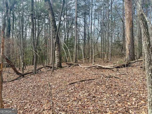 LOT 28 Fern Park Drive, Dawsonville, GA 30534 - #3