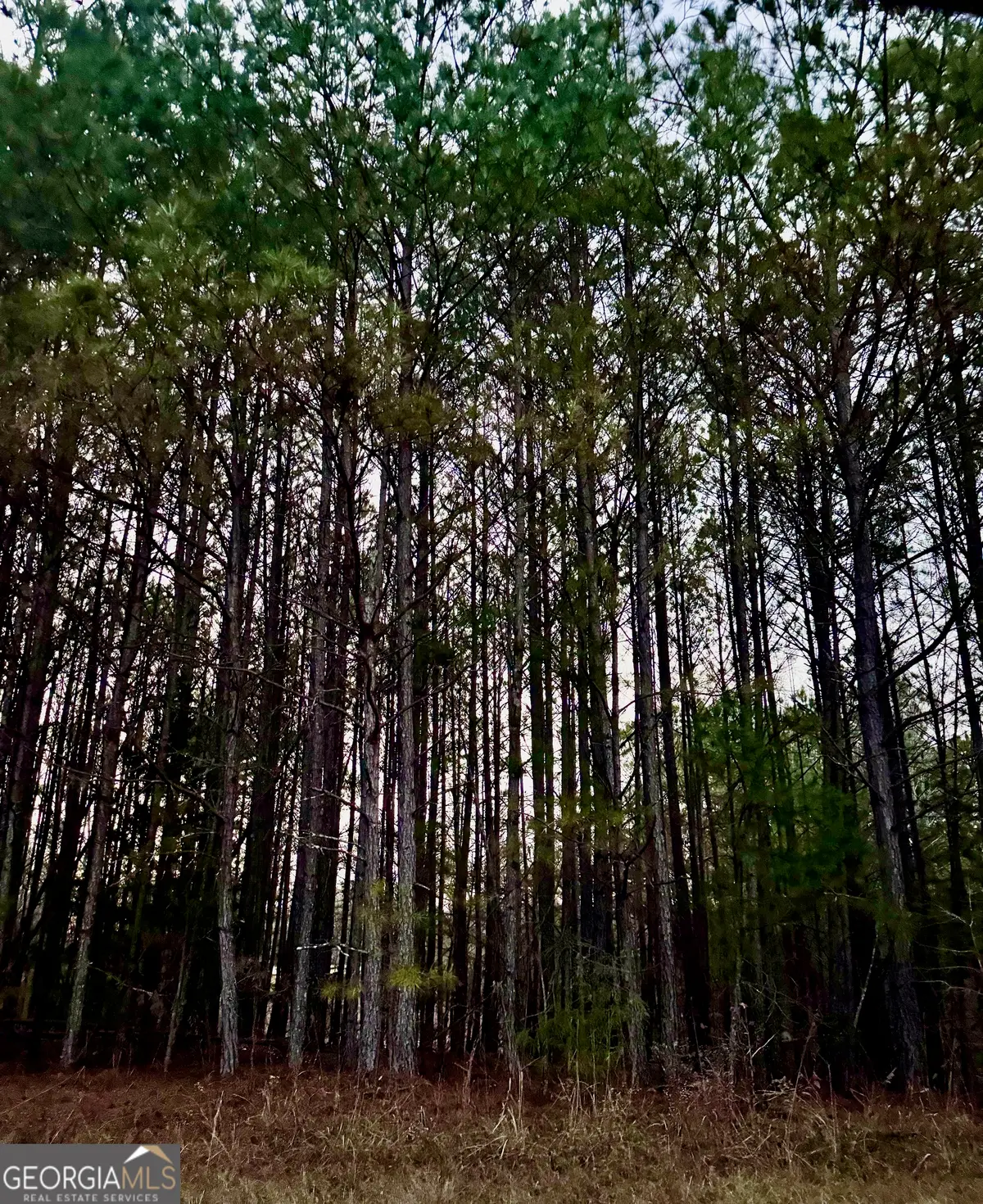 3230 Steadman Road, Tallapoosa, GA 30176 - Image #1