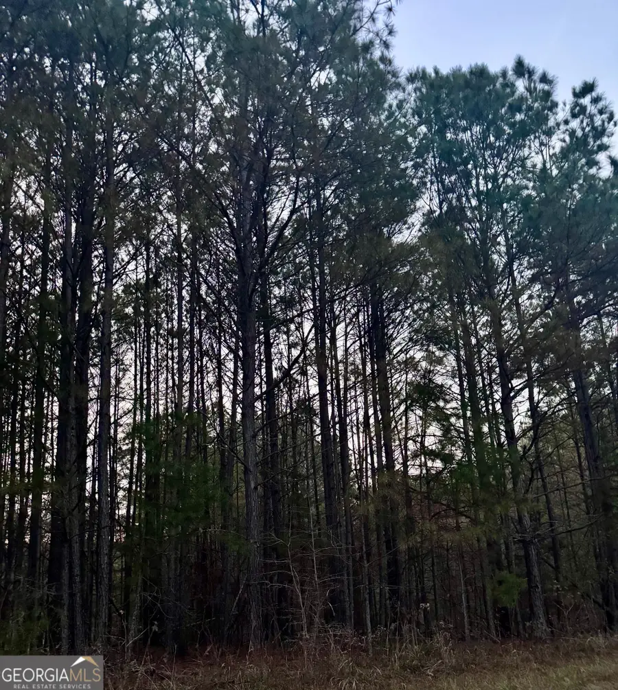 3230 Steadman Road, Tallapoosa, GA 30176 - Image #2