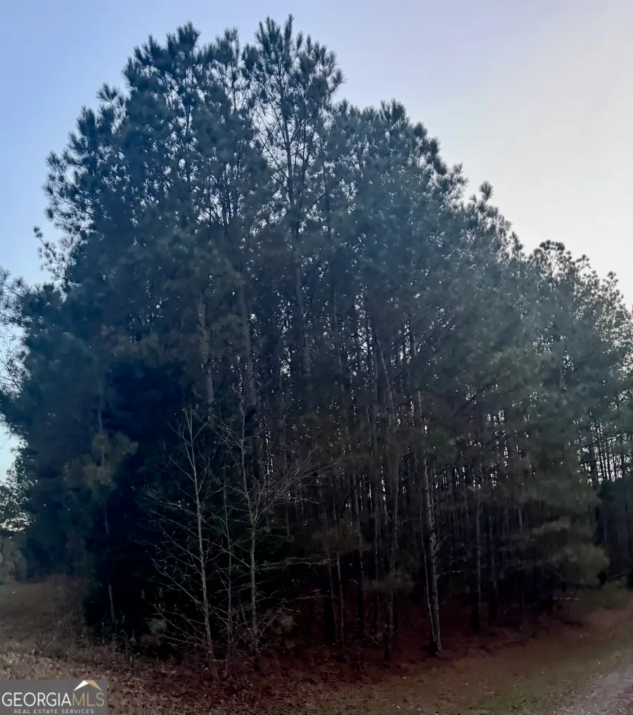 3230 Steadman Road, Tallapoosa, GA 30176 - Image #3