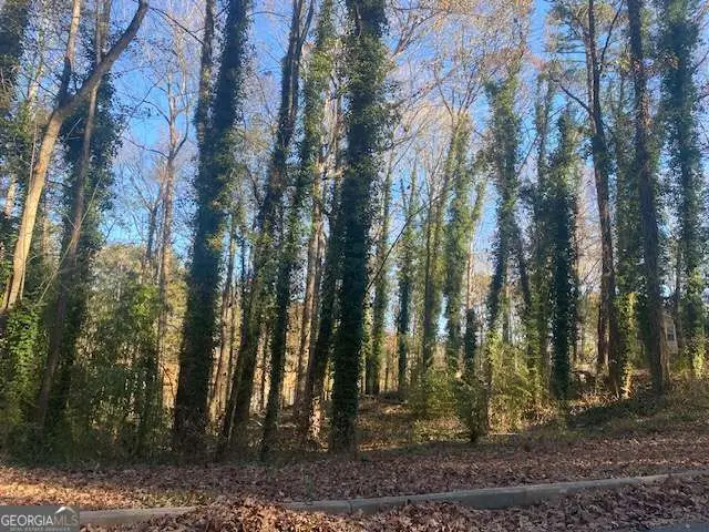 0 Lakeside Drive, Ellenwood, GA 30294 - Image #2