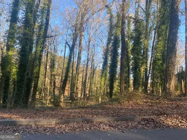 0 Lakeside Drive, Ellenwood, GA 30294 - Image #3