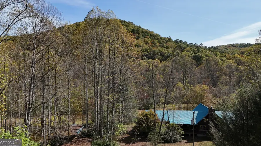 3590 Goshen Creek Road, Clarkesville, GA 30523 - Image #2