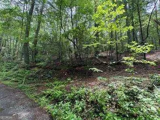 0 Ts Jarrard Rd, Unit Tract 3, #192, Dahlonega, GA 30533 - Image #2