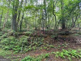 0 Ts Jarrard Rd, Unit Tract 3, #192, Dahlonega, GA 30533 - Image #3