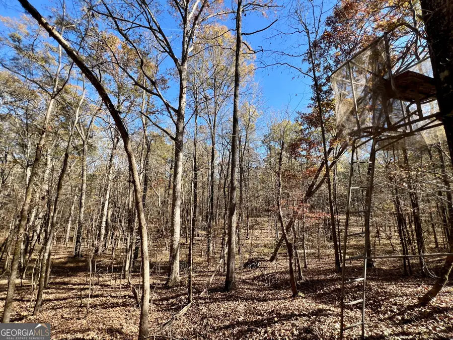 0 St Marys Road, Crawfordville, GA 30631 - #3