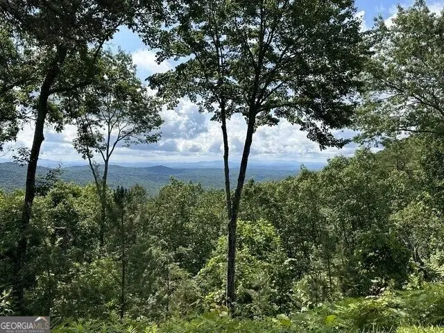 LOT 46 Utana Bluffs Trail, Ellijay, GA 30540 - Image #1
