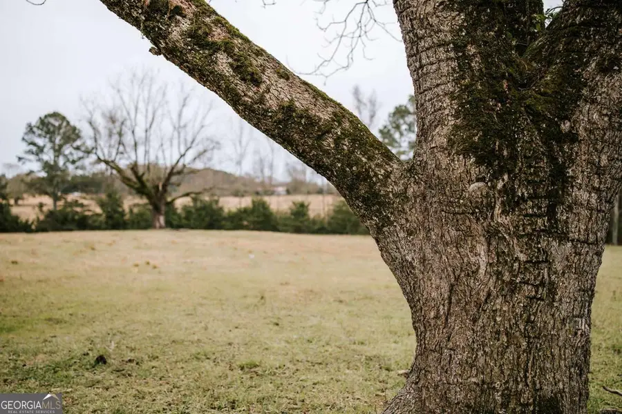 0 Sandy Cross Road, Lexington, GA 30648 - Image #2