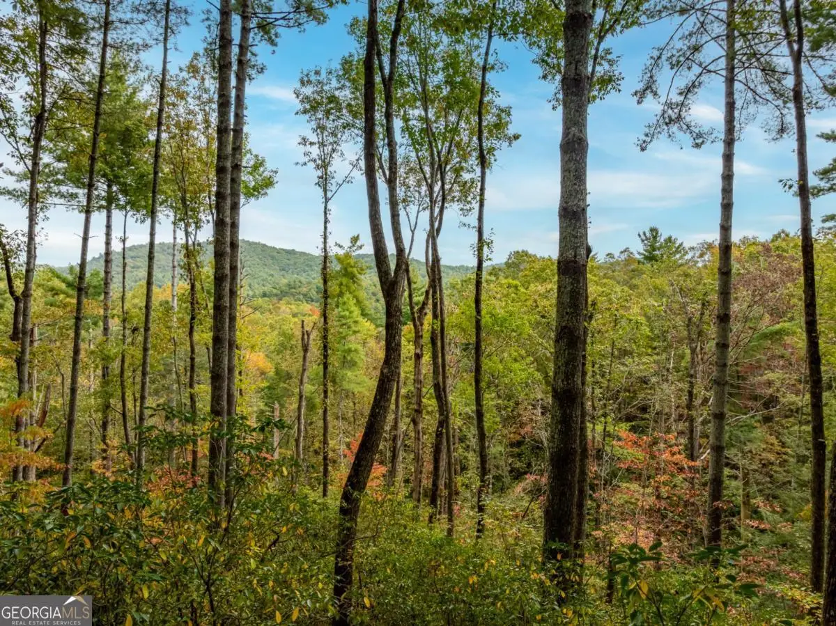 LOT 1 Chief Whitetails Road, Ellijay, GA 30540 - #1
