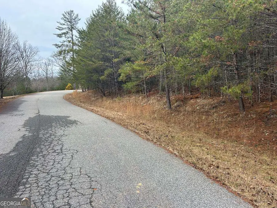 LT 42 Lola Mae Way, Morganton, GA 30560 - Image #2