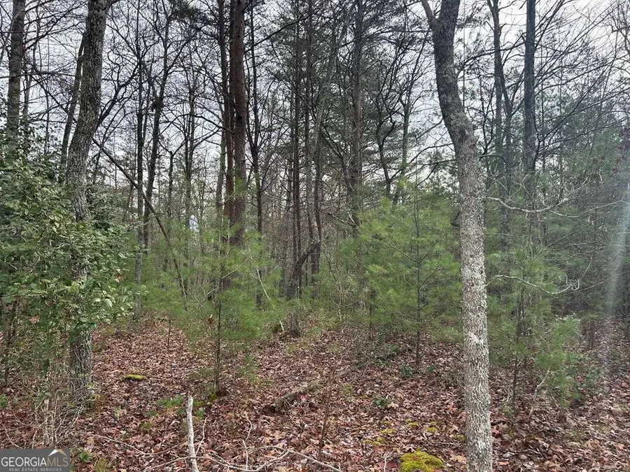 LT 42 Lola Mae Way, Morganton, GA 30560 - Image #3
