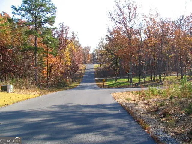0 Lakeview Cr Lot 20, Summerville, GA 30747 - Image #3