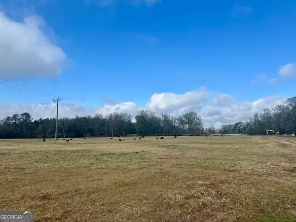 1111 Billy Merritt Road, Greensboro, GA 30642