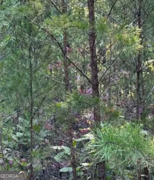 18 S Skyline Drive, Braswell, GA 30153