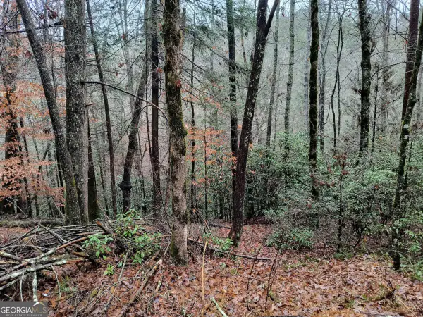 LOT 39 Kells Ridge Drive #39, East Ellijay, GA 30540