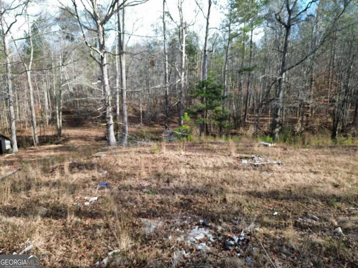 881 S Little New York Trail, Whitesburg, GA 30185 - Image #1