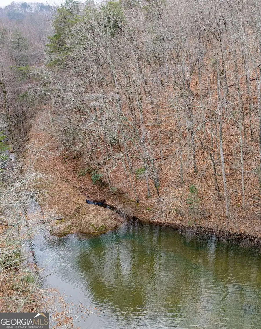 161 Headwaters Court #LOT 161, Cleveland, GA 30528 - Image #3