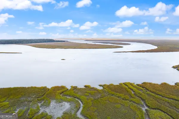 0 Sutherland Bluff Drive Ne, Townsend, GA 31331