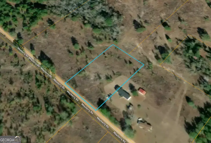 0 Mayberry Road, Dublin, GA 31021 - Image #2