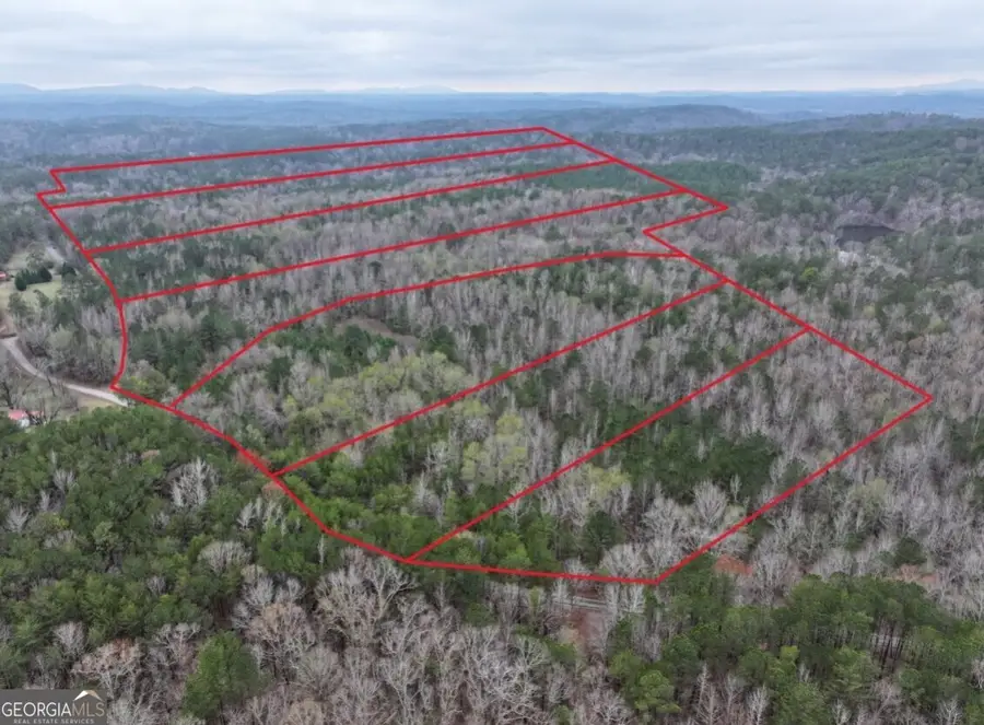 0 Hopeful Road #LOT 1, Munford, AL 36268 - #2