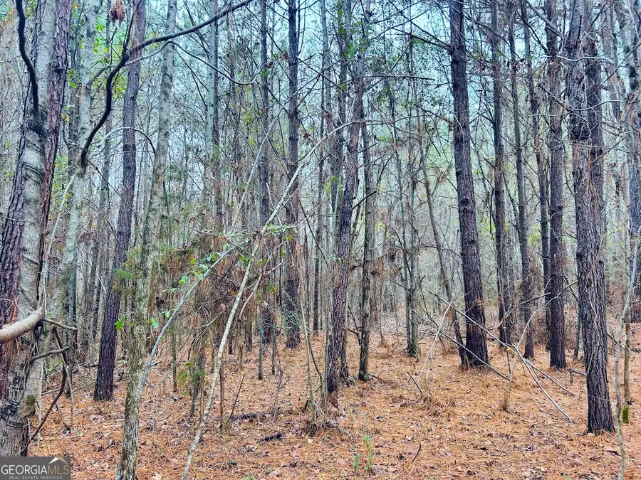0 Hopeful Road #LOT 1, Munford, AL 36268 - #3