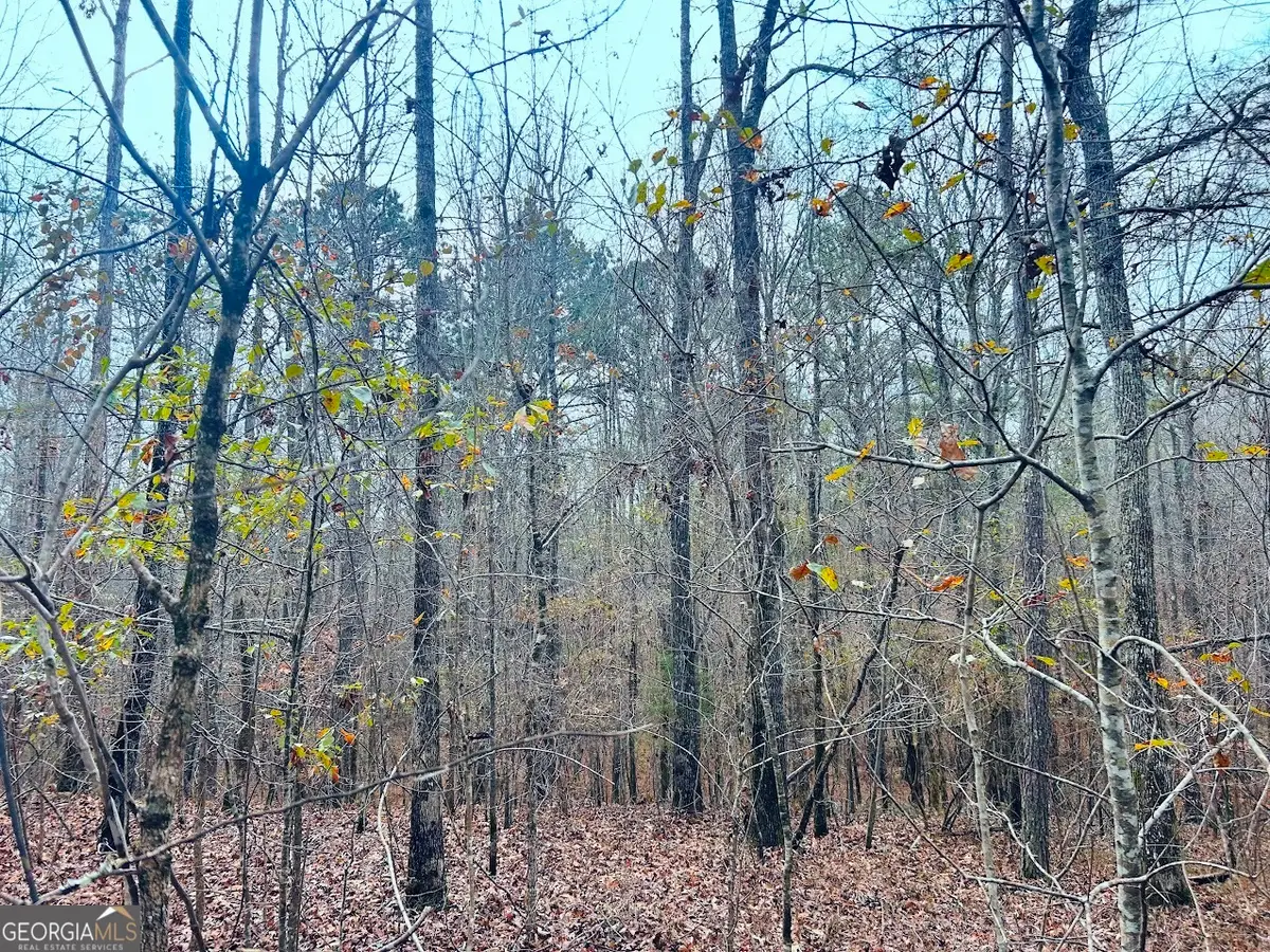 0 Hopeful Road #LOT 2, Munford, AL 36268 - #1