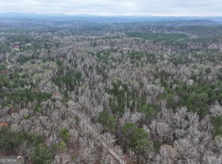0 Hopeful Road #LOT 2, Munford, AL 36268 - #3