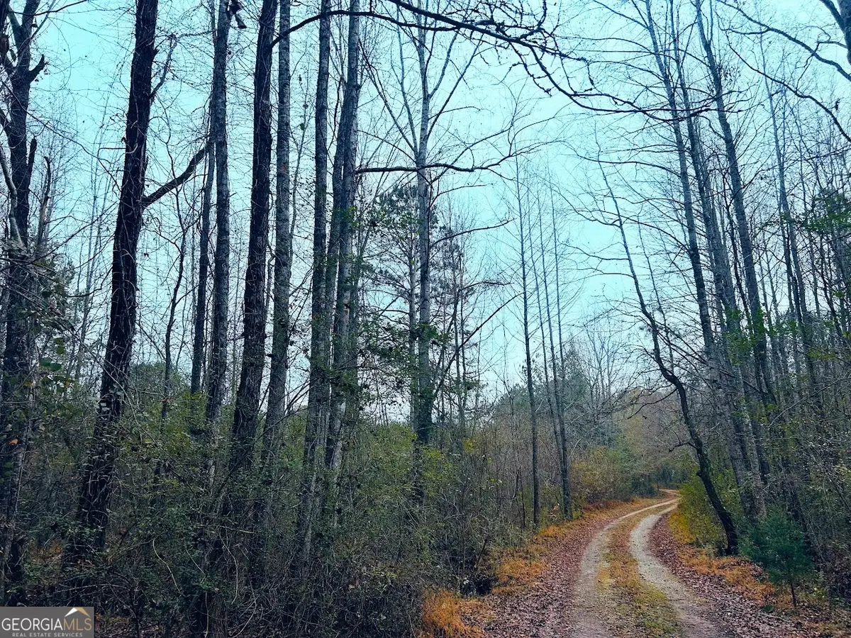 0 Hopeful Road #LOT 3, Munford, AL 36268 - #1