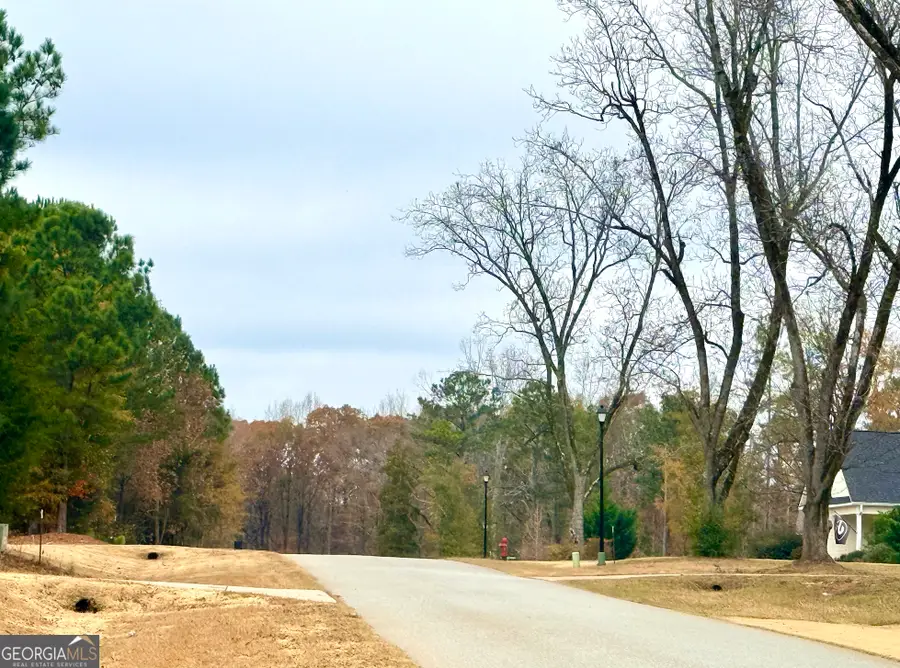 LOT 17 Rolling Meadows Way, Waverly Hall, GA 31831 - #3